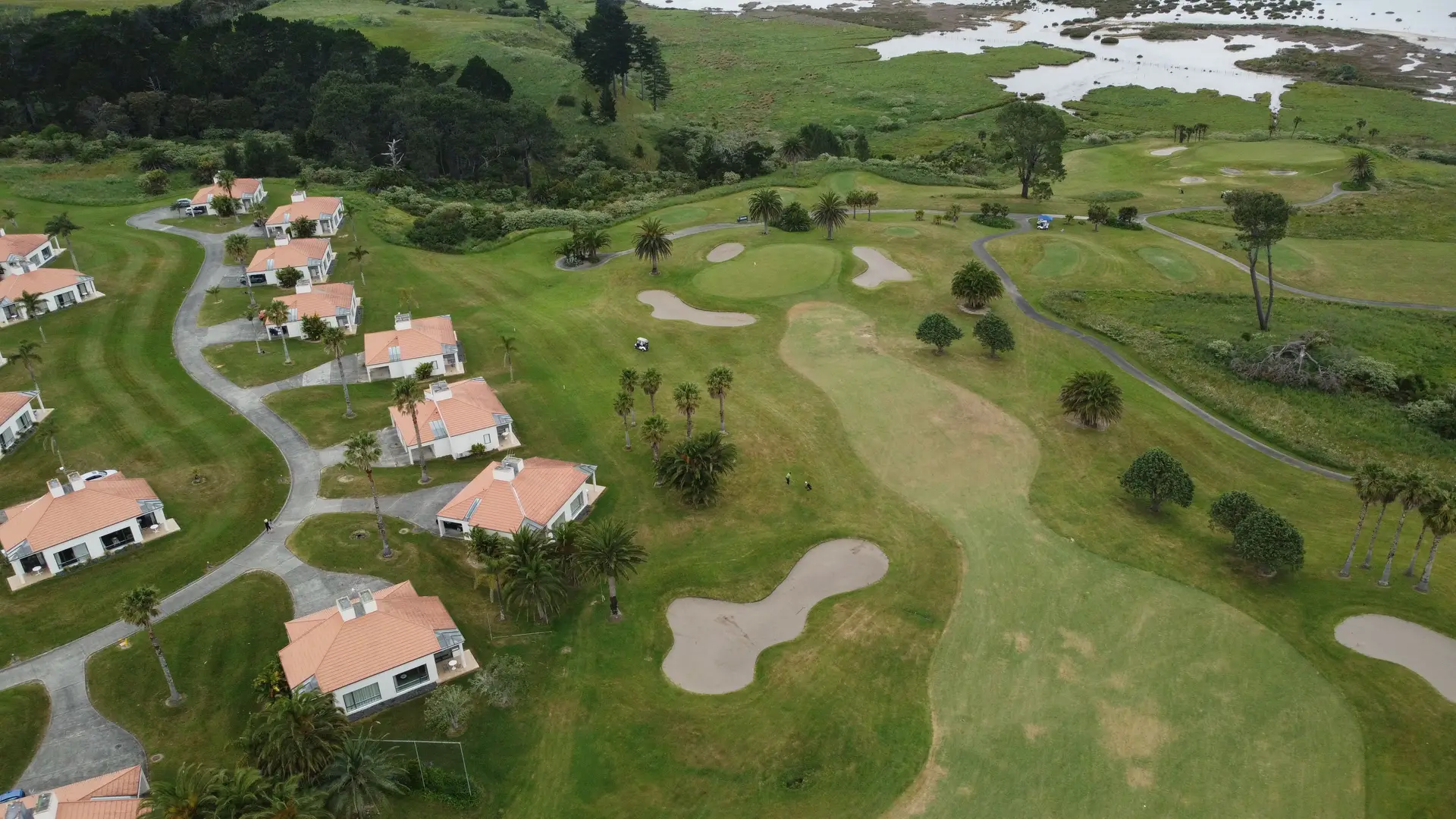 Scenic New Zealand landscape near DelvessiangrandStay