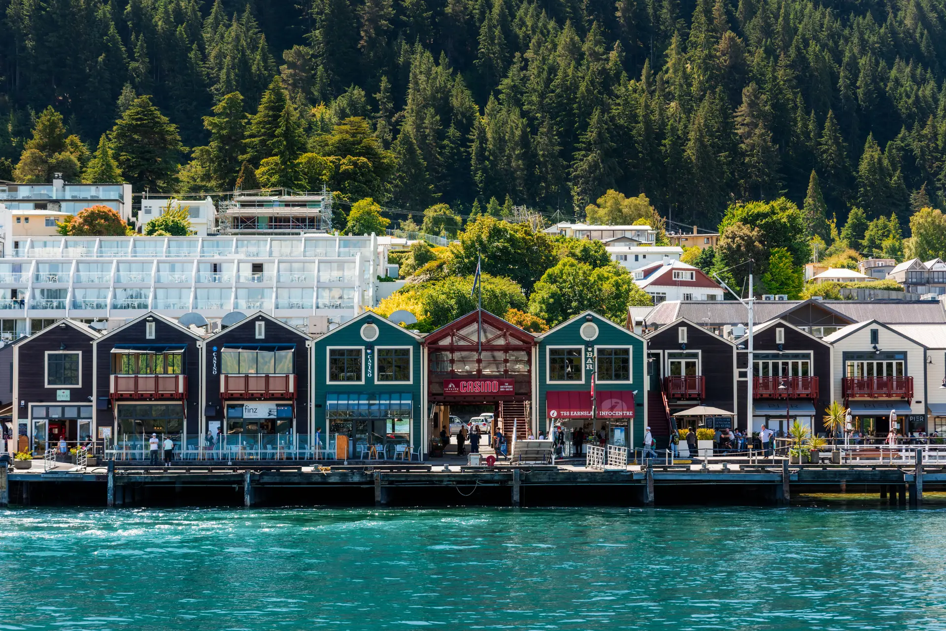 New Zealand waterfront landscape