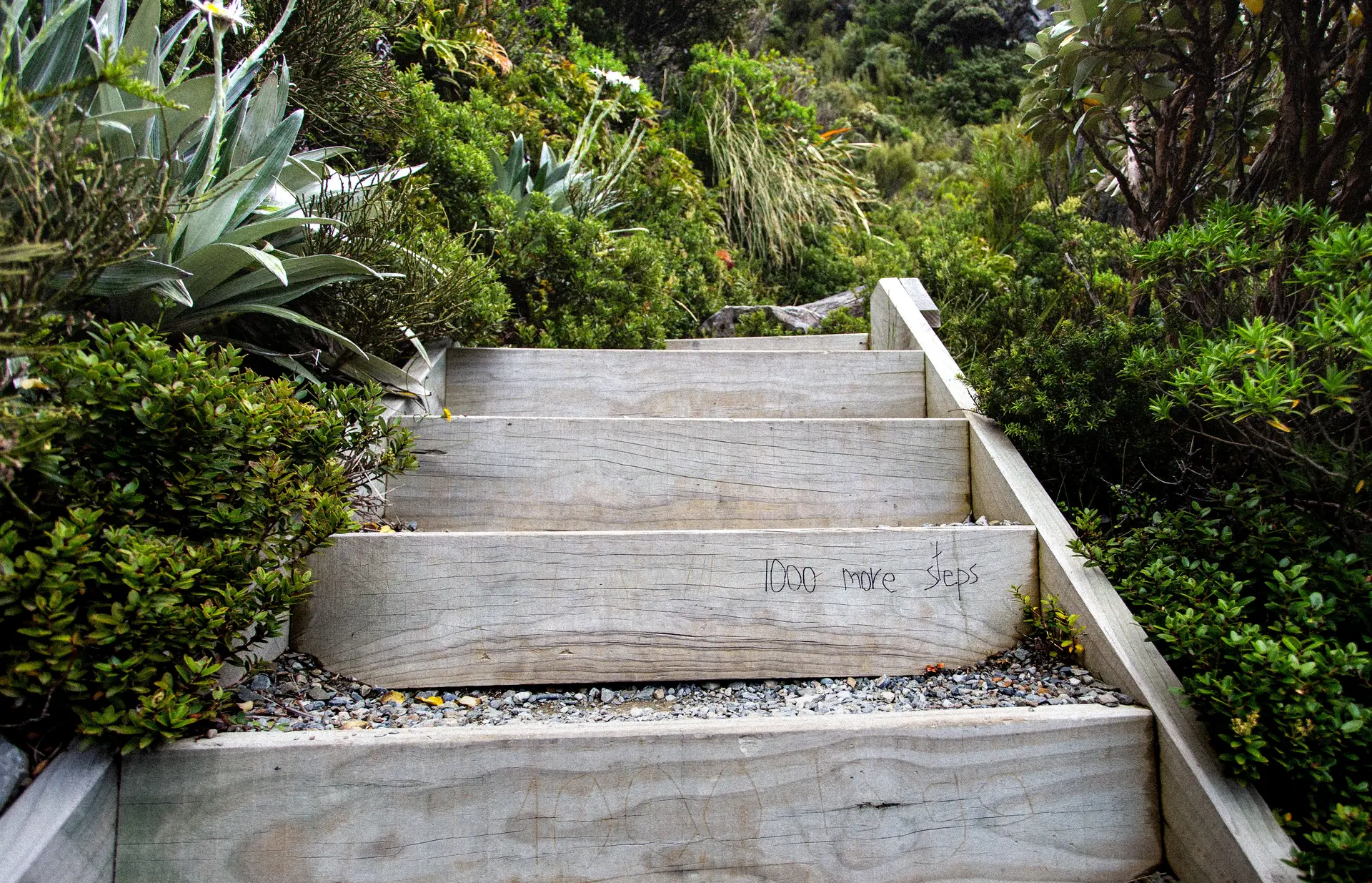 Scenic coastal walk